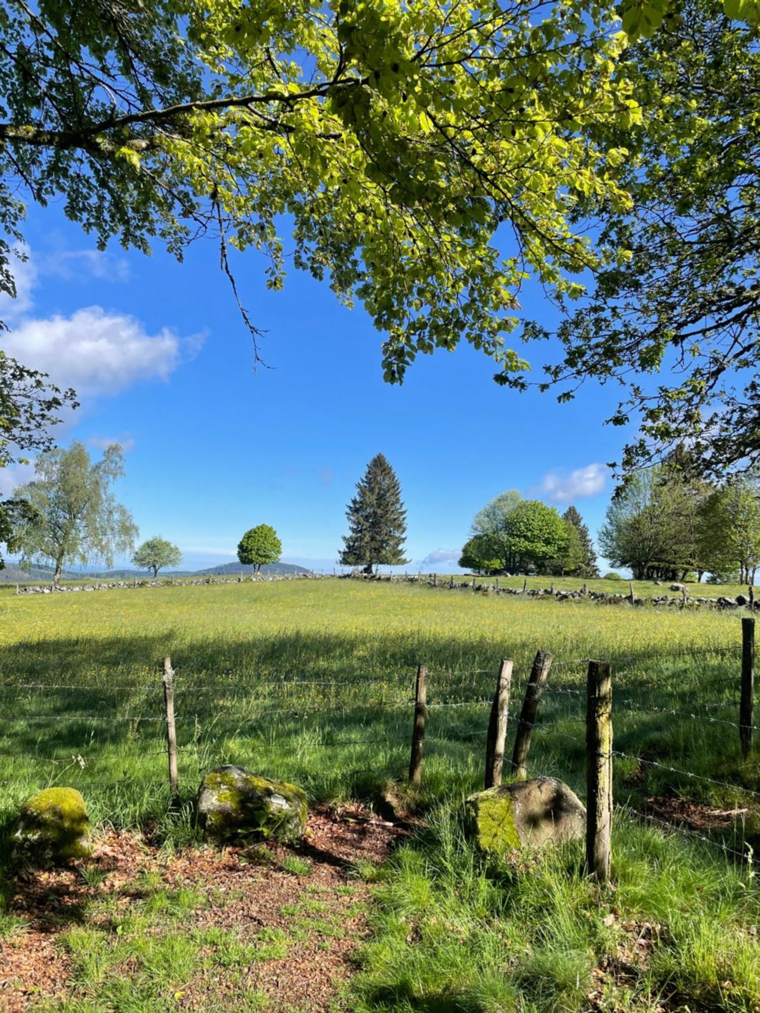 Le gîte cozy de Bouvacôte avec vue panoramique Le Tholy Exterior foto